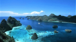 Bunaken Tampilkan Keajaiban Laut yang Memikat Dunia