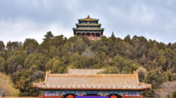 Taman Tersembunyi Kota Terlarang Kembali Hidup Setelah Satu Abad